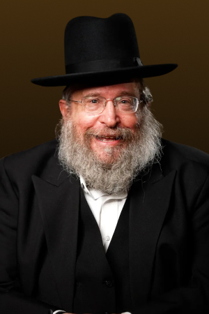 Rabbi Fishel Schachter