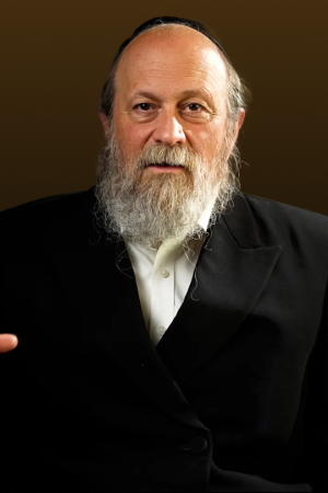 Rabbi Moshe Weinberger